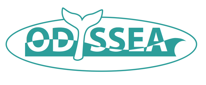 odyssea